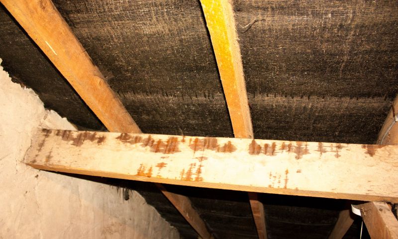 Ceiling Leak Repair Service in Littleton, CO