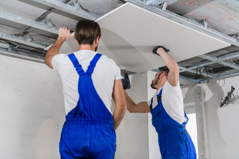 Ceiling Removal Service in Santa Rosa, CA